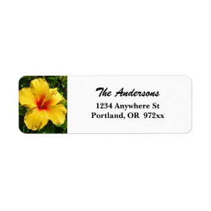 Maui Yellow Hibiscus