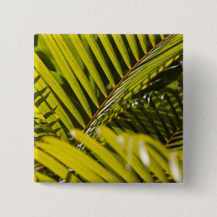 Mauritius, Central Mauritius, Moka, palm 15 Cm Square Badge
