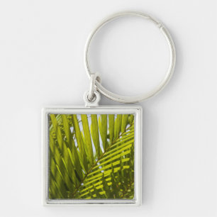 Mauritius, Central Mauritius, Moka, palm 2 Key Ring