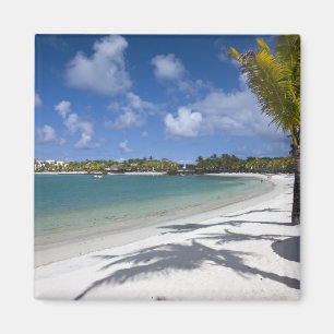 Mauritius, Eastern Mauritius, Trou d' Eau Douce, Magnet