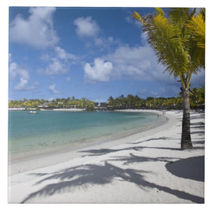 Mauritius, Eastern Mauritius, Trou d' Eau Douce, Tile