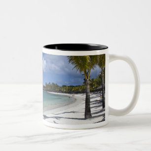 Mauritius, Eastern Mauritius, Trou d' Eau Douce, Two-Tone Coffee Mug
