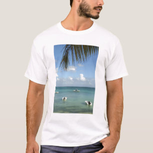 Mauritius, Grand Baie. Boats anchored in the T-Shirt