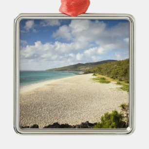 Mauritius, Rodrigues Island, St. Francois, St. Metal Tree Decoration