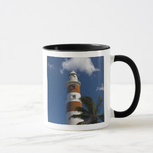 Mauritius, Western Mauritius, Belle Vue, Albion Mug