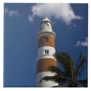 Mauritius, Western Mauritius, Belle Vue, Albion Tile