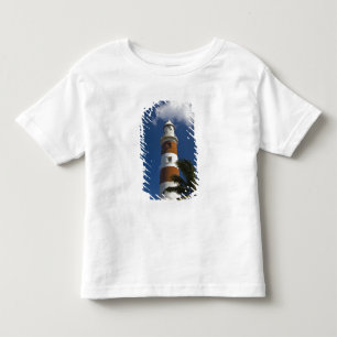 Mauritius, Western Mauritius, Belle Vue, Albion Toddler T-Shirt