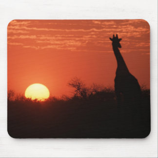 Mauspad Giraffe Mouse Pad