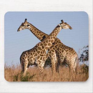 Mauspad Giraffen Mouse Pad