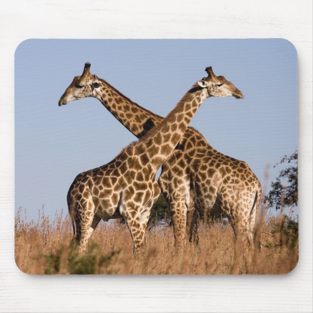Mauspad Giraffen Mouse Pad (Front)