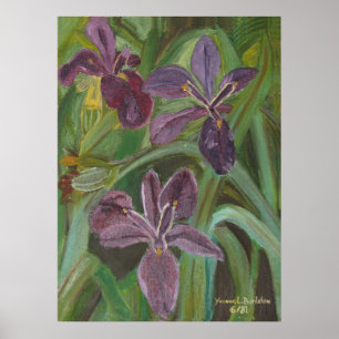 Mauve LA  Iris Poster