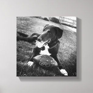 maverick canvas print