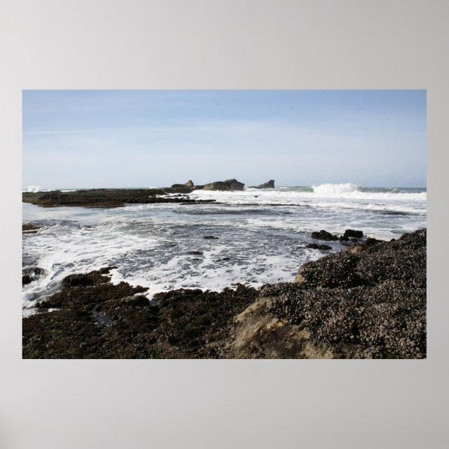 Mavericks Poster (Front)