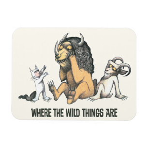 Max and the Wild Things Playing Magnet