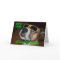 MAX Birthday Card
