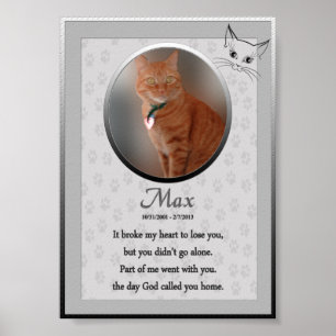 Max Cat Memorial Poster