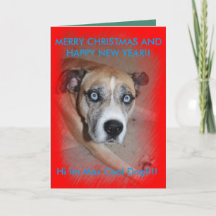 Max Pet Dog Christmas Card