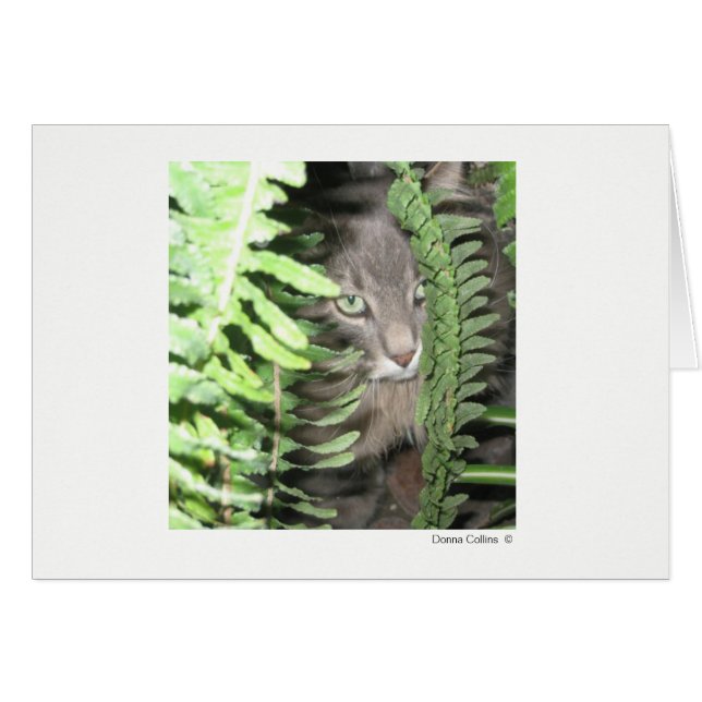 Max the Cat #2 (Front Horizontal)