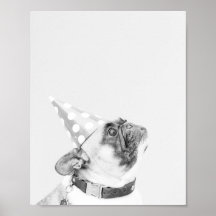 Max the French Bulldog