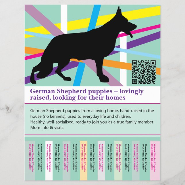 Maximal Shepherd Dog personalised Flyer (Front)