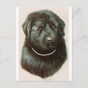 Maximillian Postcard