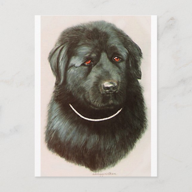 Maximillian Postcard (Front)