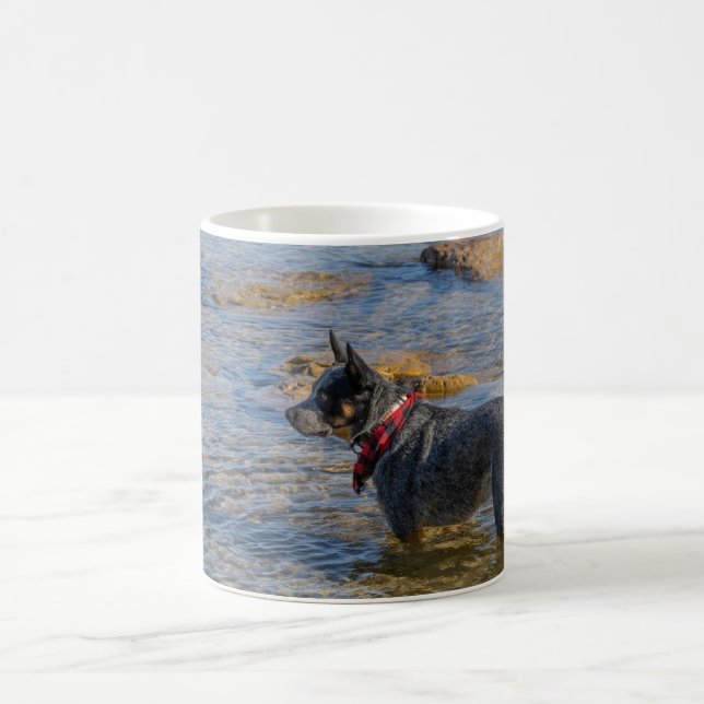 "Maximus" Blue Heeler Coffee Mug  (Center)