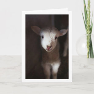 MAY BE A BABY BUT I CAN SAY **MERRY CHRISTMAS** CARD