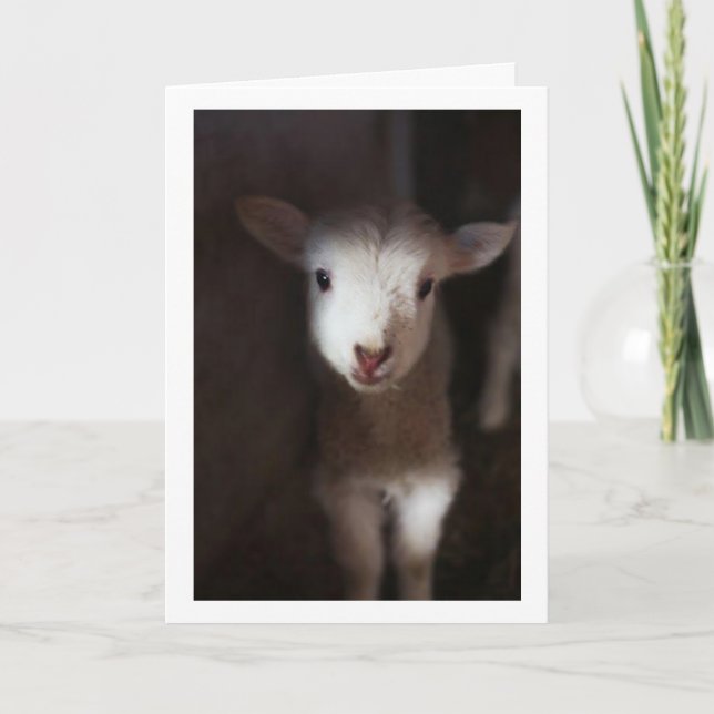 MAY BE A BABY  BUT I CAN SAY **MERRY CHRISTMAS** CARD (Front)