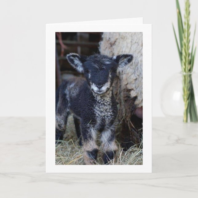 MAY BE A "KID" BUT I CAN SAY **MERRY CHRISTMAS** CARD (Front)