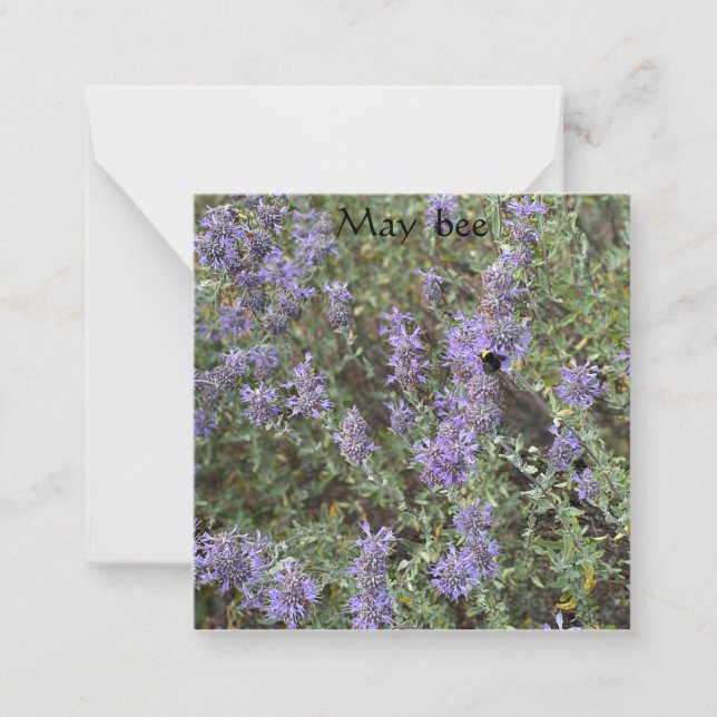 May bee card (Front)