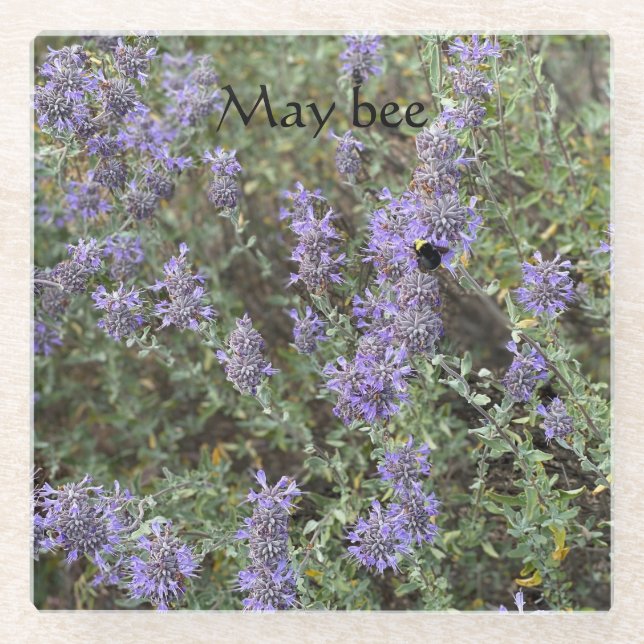 May bee glass coaster (Front)
