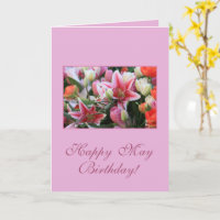 May Birthday Lily Birth Month Flower