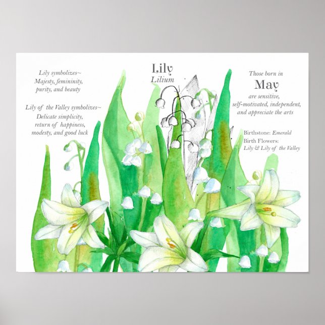 May Birthday Lily of the Valley Language of Flower Poster (Front)