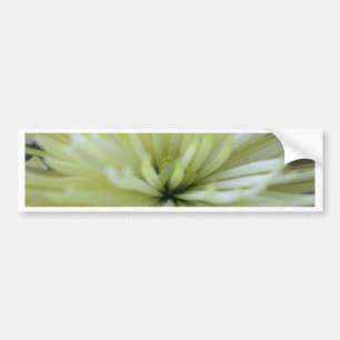 May Flowers #3 Bumper Sticker