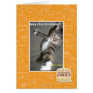 may I haz dis dance?