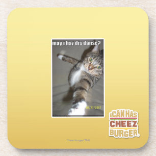 may I haz dis dance? Coaster