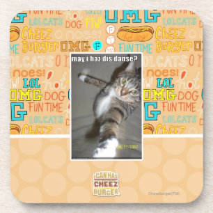 may I haz dis dance? Coaster