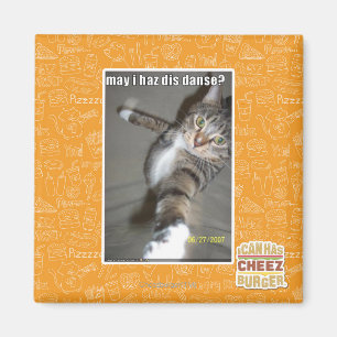 may I haz dis dance? Magnet
