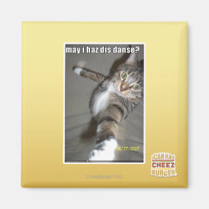 may I haz dis dance? Magnet