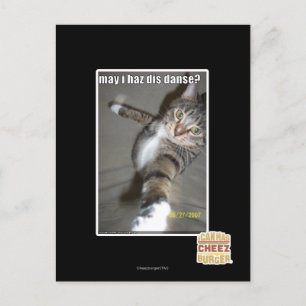 may I haz dis dance? Postcard