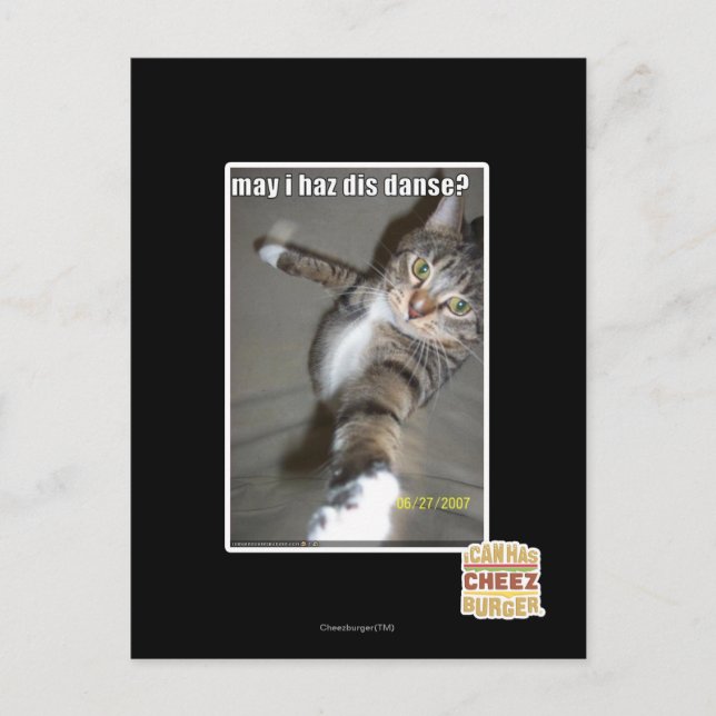 may I haz dis dance? Postcard (Front)