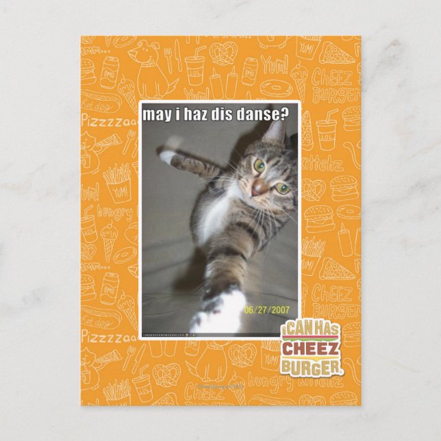 may I haz dis dance? Postcard (Front)
