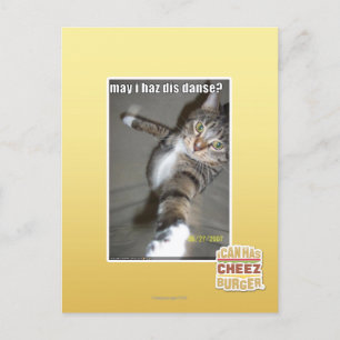 may I haz dis dance? Postcard