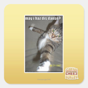 may I haz dis dance? Square Sticker