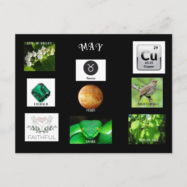 May Taurus Birth Month  Postcard (Front)