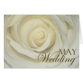 May Wedding Rose