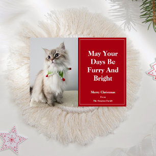 May Your Days Be Furry And Bright Christmas Cat  Holiday Card
