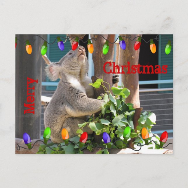 May your lights shine bright. Postcard (Front)