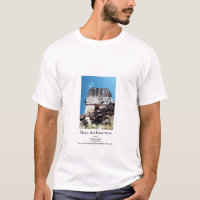 Maya Architecture- Labna
